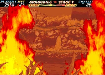 image de The First Funky Fighter